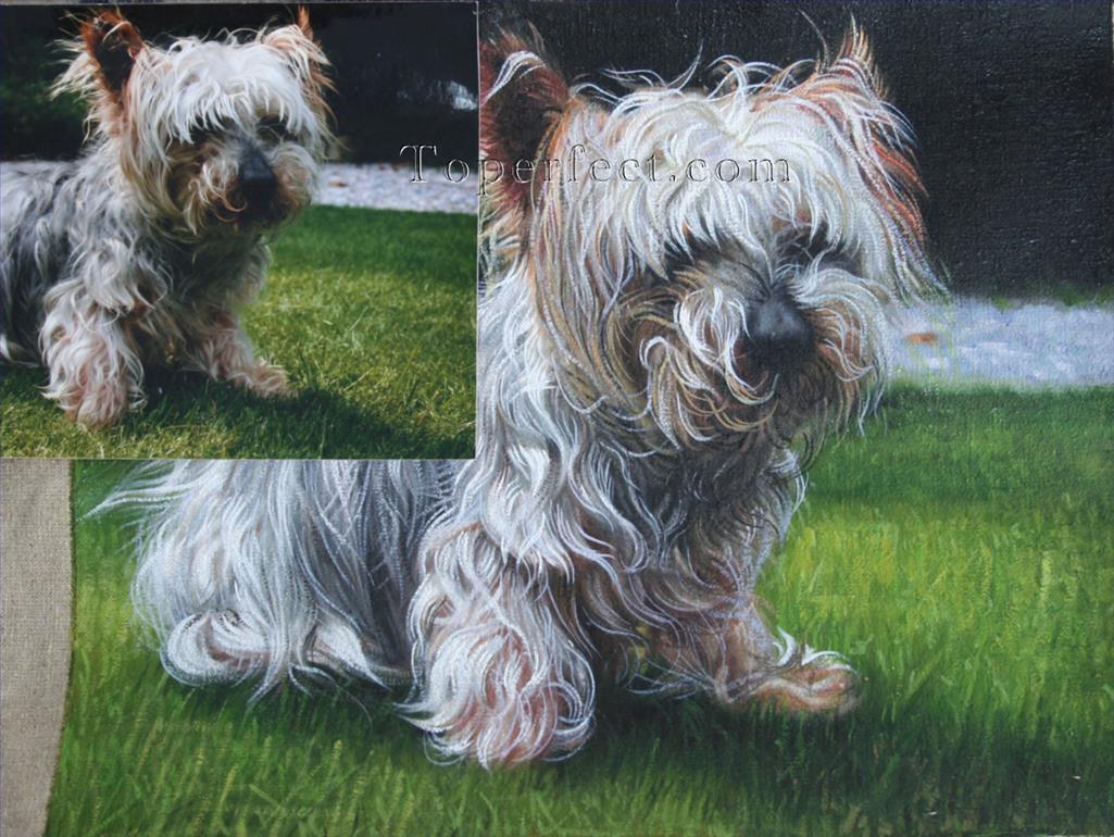 imd024 retrato de cachorro Pintura al óleo